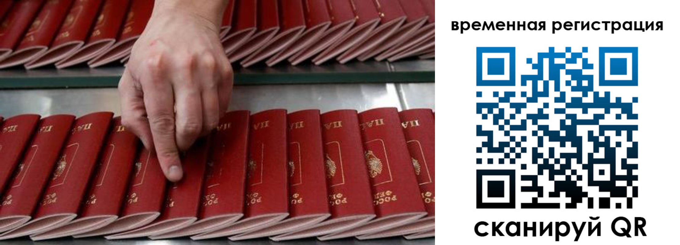 временная регистрация в квартире в Волгоградской области